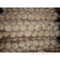 Jinxiang Good Quality Garlic Braids Different Packages